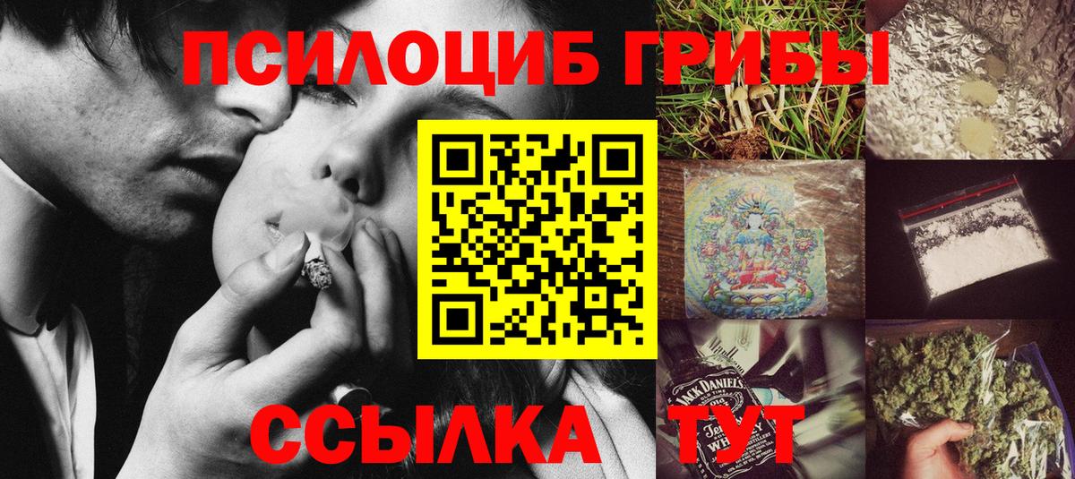 Галлюциногенные грибы Cubensis Кызыл
